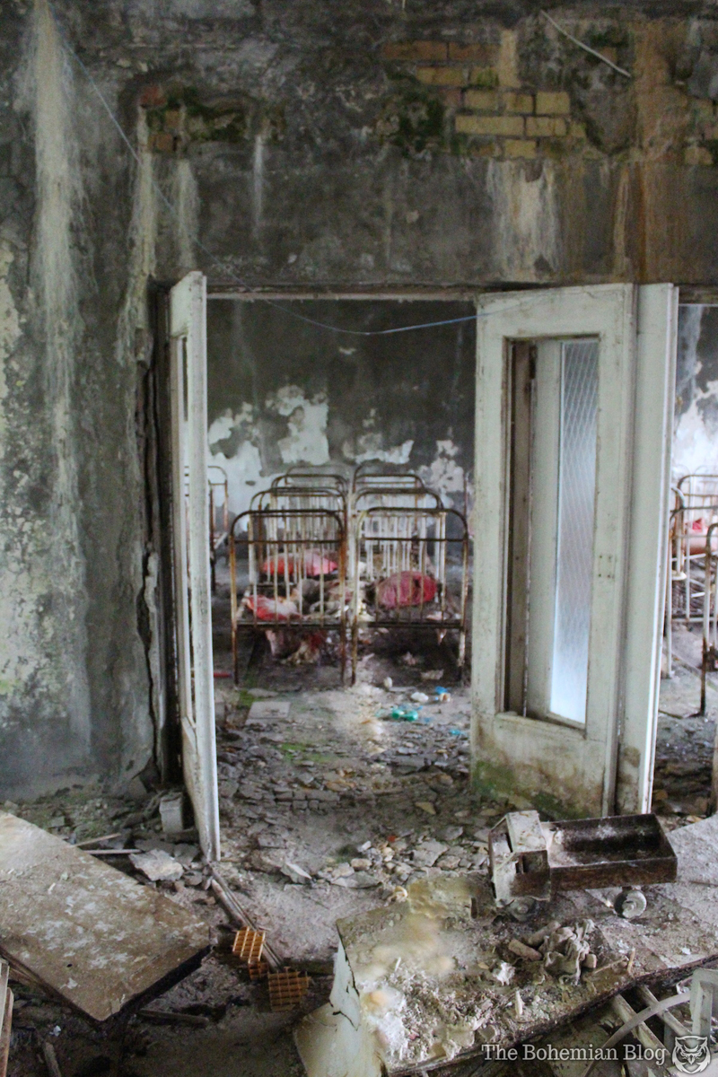 Illustration for article titled The Myth of an Untouched Chernobyl